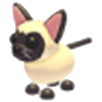 Siamese Cat - Ultra-Rare from Homepass